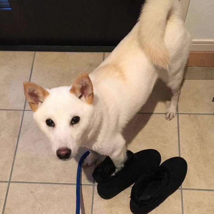 Dcdfe1ae c9d7 4e24 ab93 4f61b6bb0a35