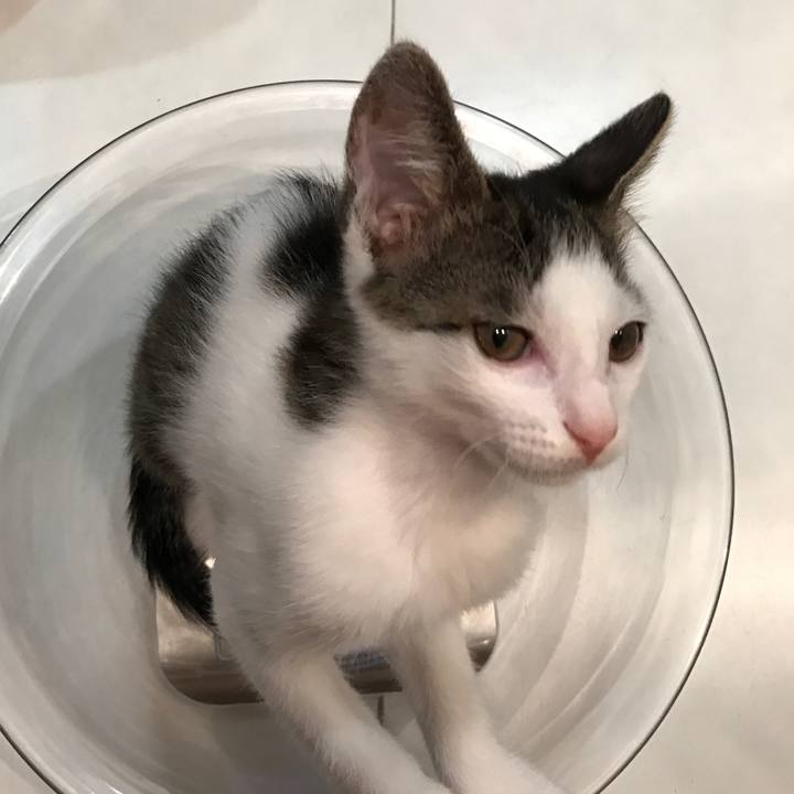 Dcdfee53 1a1f 4269 822d 5b4ac77c38e9