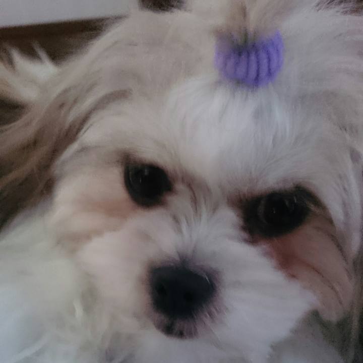 Dcdffd93 1a18 49cc adea 7823c2f49114