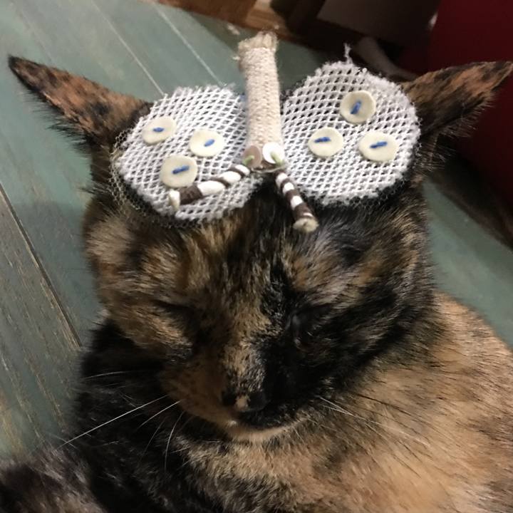 Dce01256 2c94 4eb8 915d 7e8f0b994930