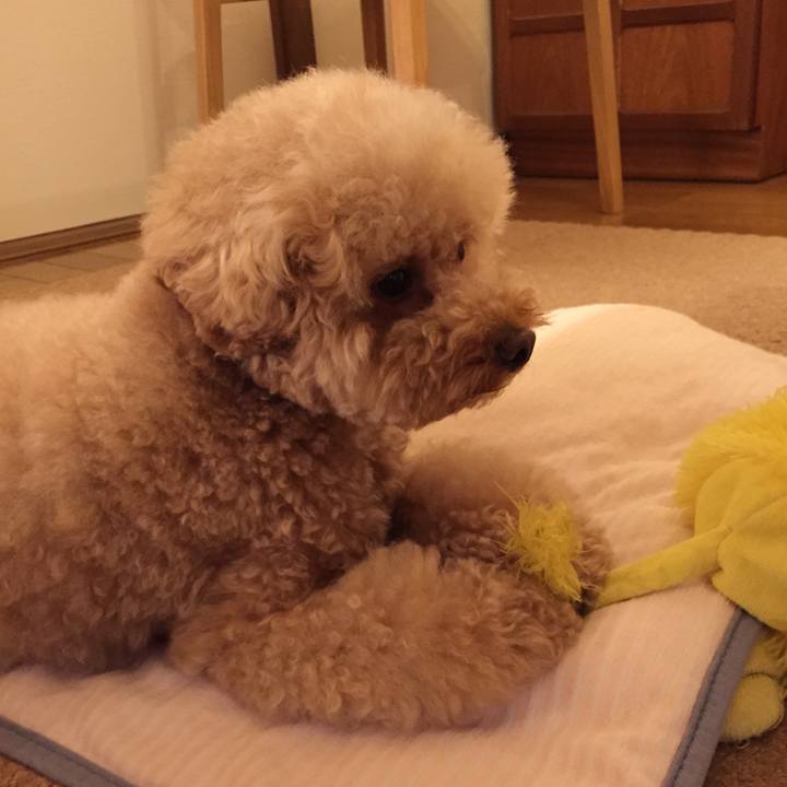 Dce05494 cc85 4cb1 8bbf fb07c660eda8