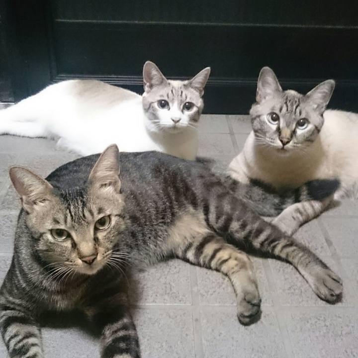 Dce05796 a6ee 49af b30d cf8ebf8b4bb3