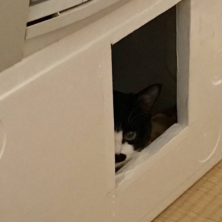 Dce09fe8 4a86 4c41 84b0 d9b1f310e6da