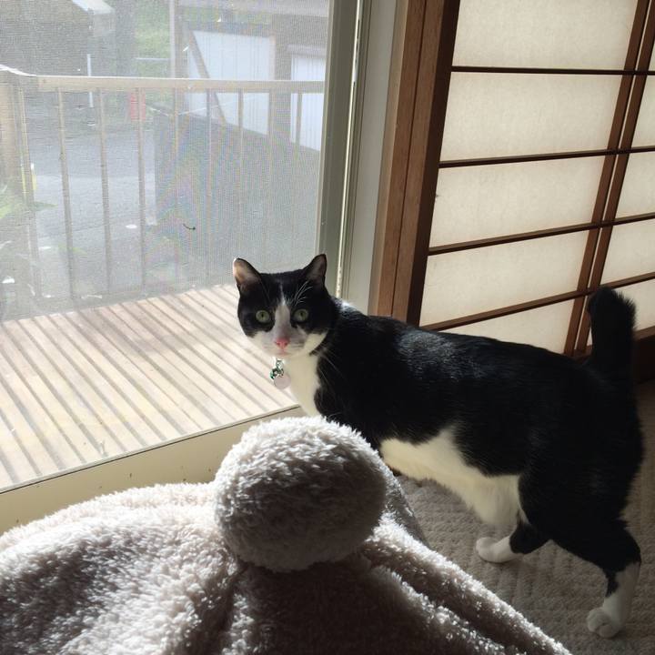 Dce0ffef 652a 47ee 8cb1 d3c57f01b56b