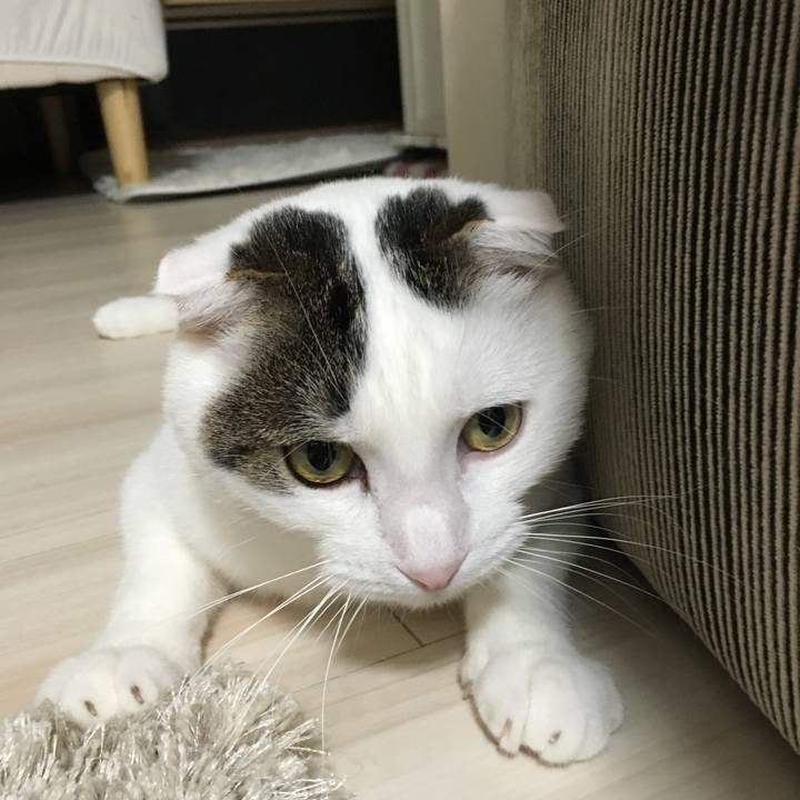 Dce12f05 b77f 42d8 9013 d1ff45c055ca