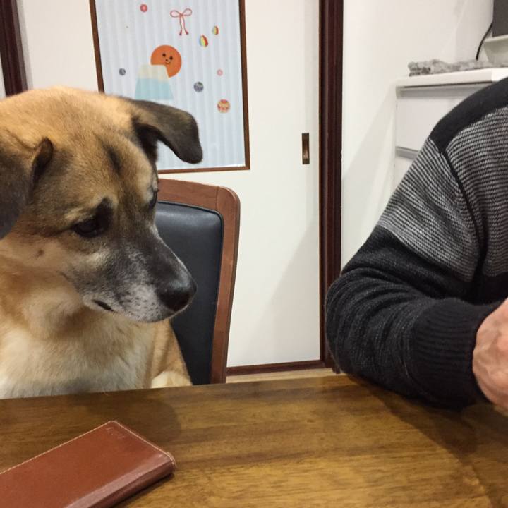 Dce15bd9 6676 47e8 813f 476b01cd38ec