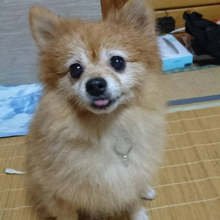 Dce21605 5a7d 4a9e b73b 999423aba908