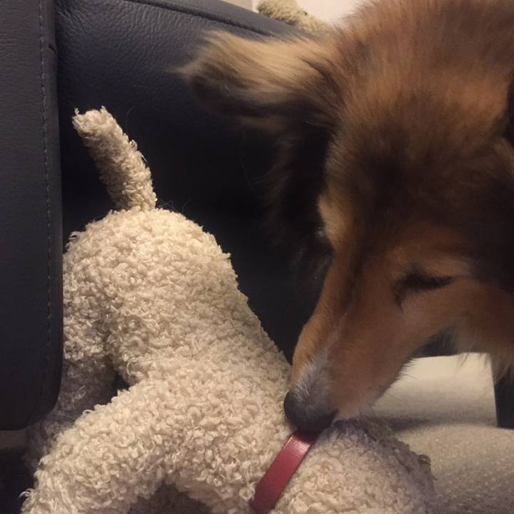 Dce259a2 a7d0 418a b784 492f5982b122