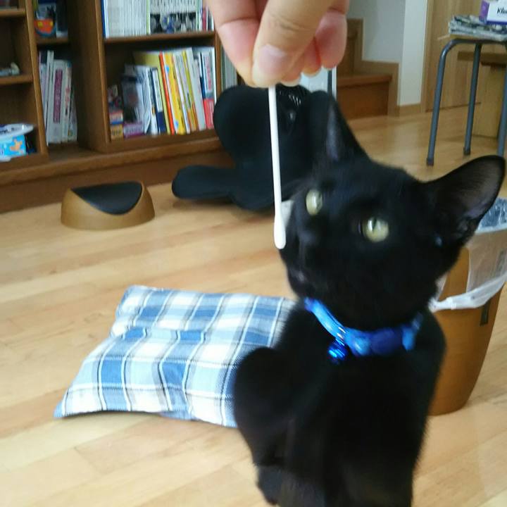 Dce2ac08 a51a 4136 bad8 57d0dd3969bc