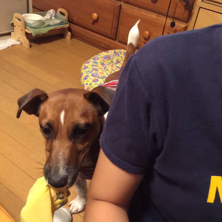 Dce30323 d261 4f22 a2f9 456942e693d2