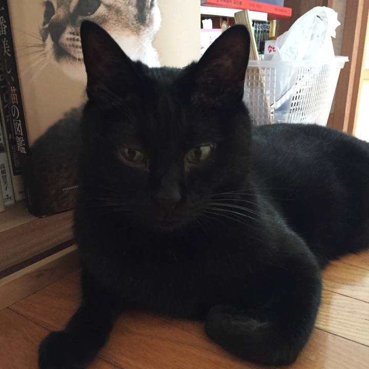 Dce337b8 3c4d 4c44 80ab 3cb21284a536