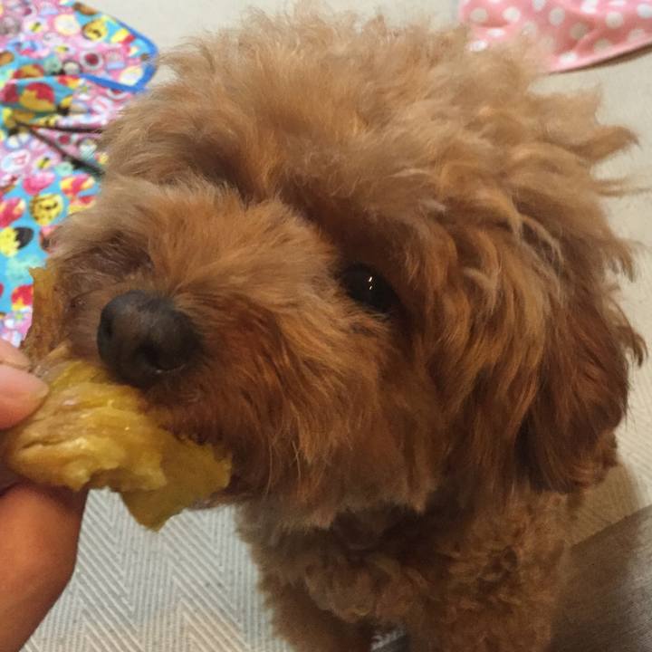 Dce36b35 c5dc 413f a454 b5b03c102e46