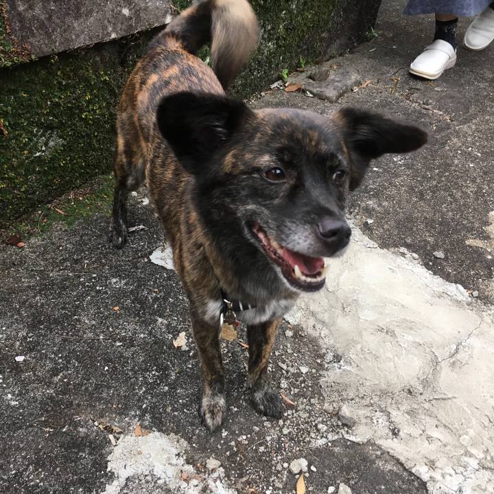 Dce38ee1 3861 48f0 ad5d 63244549172b