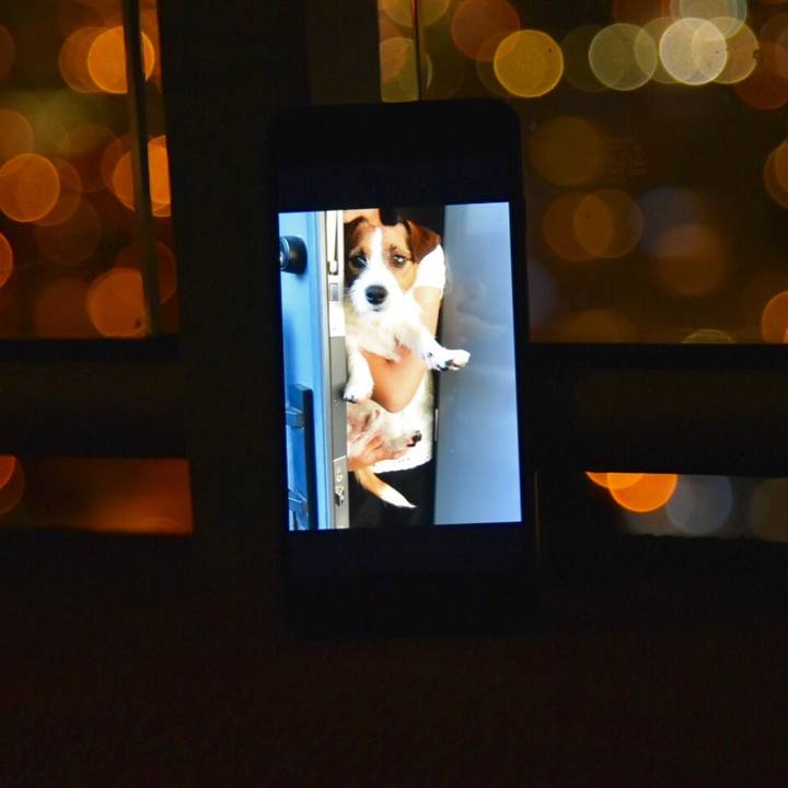 Dce3bd40 d36f 49f5 a8bd d0a7d0fe1d1e