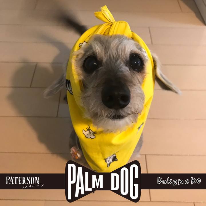 Dce47ced e4ed 4305 a598 0579571404cc