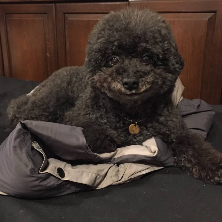 Dce630f6 5fc5 455d ad45 4b1d2c5bc1b4