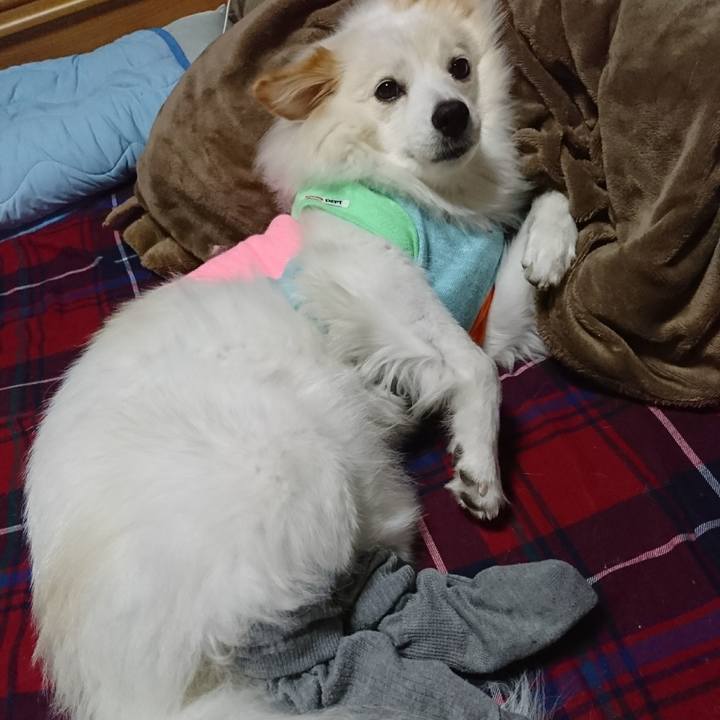 Dce74910 d362 4897 8053 740c4e29fe70