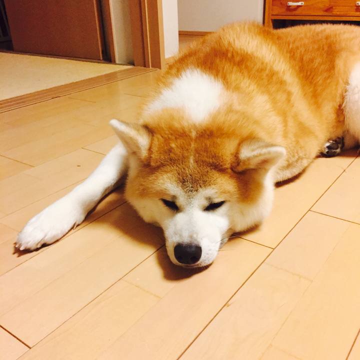 Dce76ea7 d974 4e1e 9da9 d23385ecff30