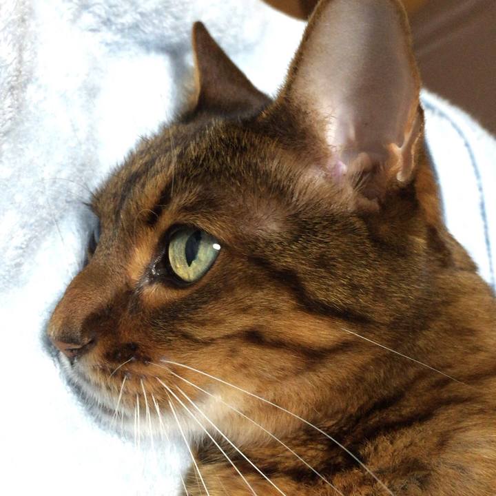 Dce7748c 9c13 47f5 bcc0 7cac40e75af7