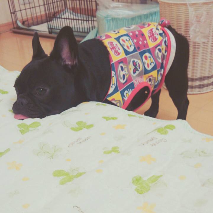 Dce85390 2ae3 4d55 955d d69a04045b15