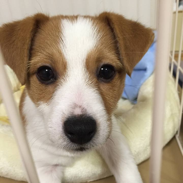 Dce87655 8484 485c 99f6 eaec394603f6