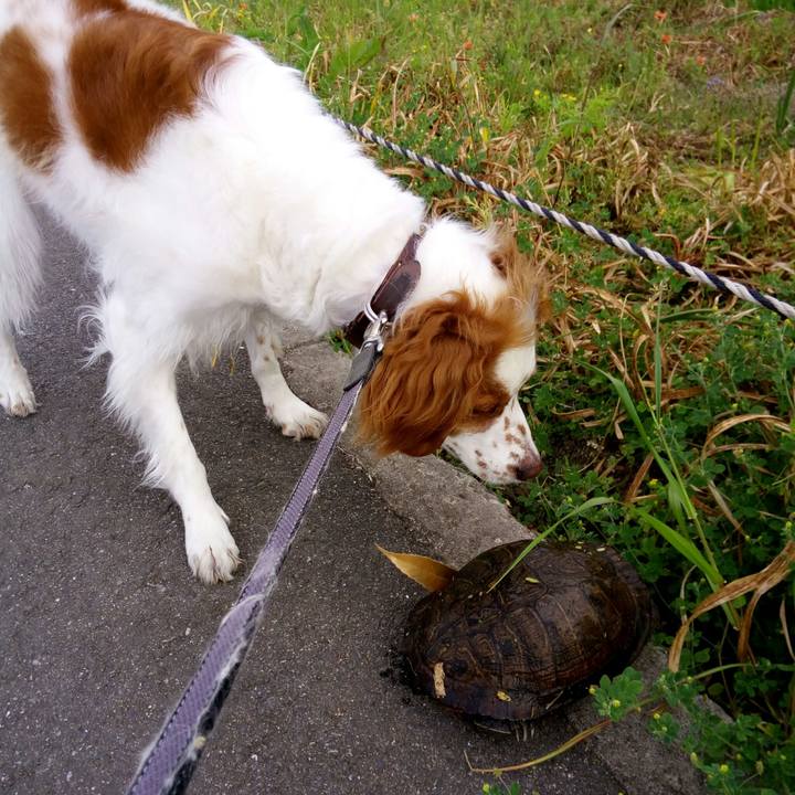 Dce87f4c e91f 44d4 a7b1 23ae928818d1