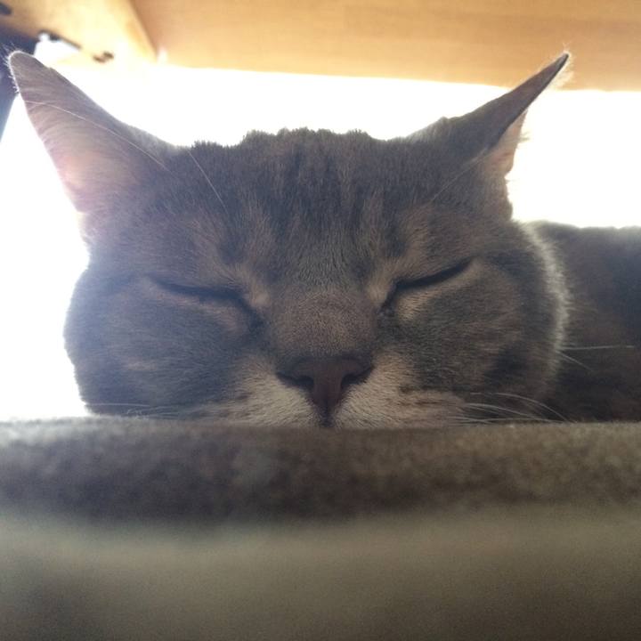 Dce89e97 0898 4c4a 96e9 0a9449f0fd03