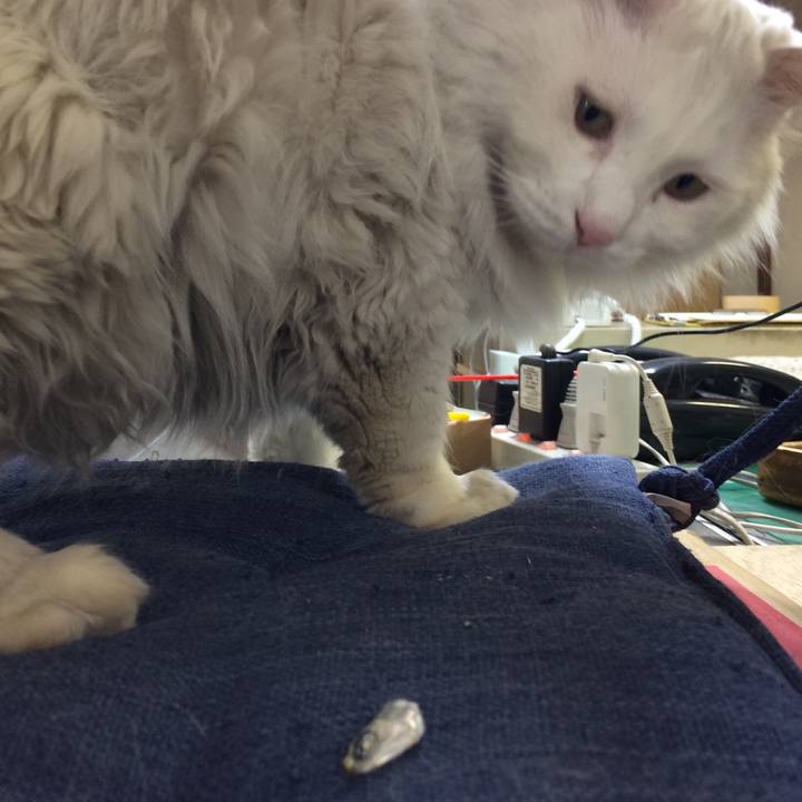 Dce8bac1 7467 423d a13e 4332ec8aba58