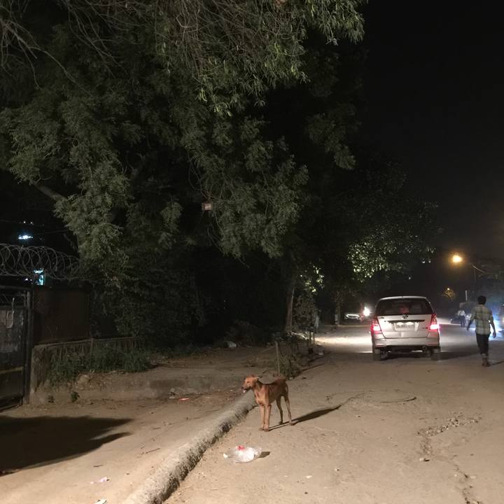 Dce8f28b f4df 4c6c b41c 0e1467573e02