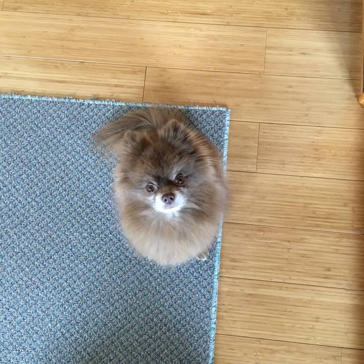 Dce936b4 8a0d 4153 8e9b d27dc3bd5d46