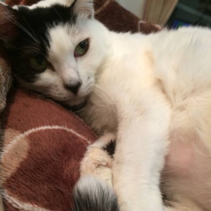 Dce9df30 fda9 42fc 802d 2686e6148b87