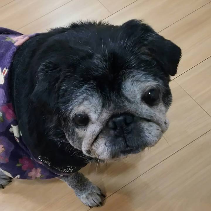 Dce9df47 5ff1 4a6b 9a87 a11375338798