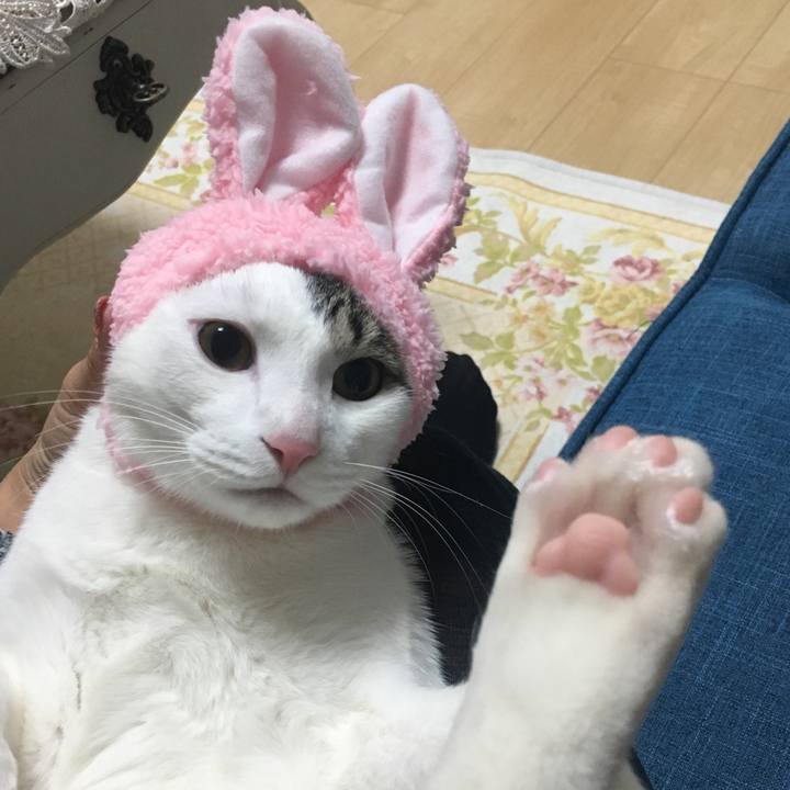 Dcea4ad2 17e3 4f27 ade3 88f04292c558