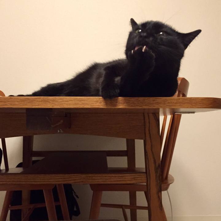 Dcea8199 11e7 49c3 926e ffa335534de0