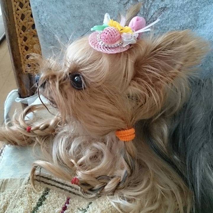 Dcea9d84 94ed 478b be57 e66b852d334b