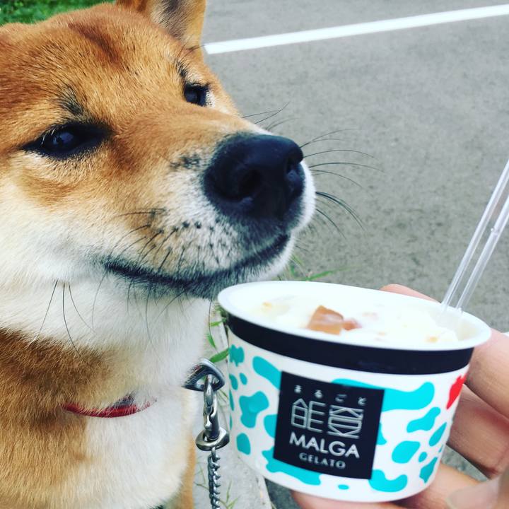 Dceade05 de24 4dd0 8a46 5b8ad2c2d087