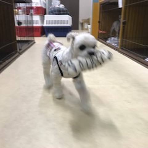 Dceb794b bb0d 4e41 b9e4 367c76ce5f6a