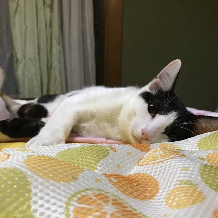 Dcec2705 a3b6 49e4 9280 c2f7bdcba569