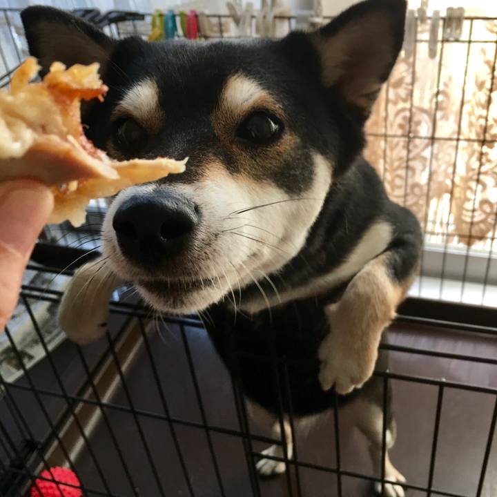 Dcec62fe 5614 43f9 b755 a43a06d6c055