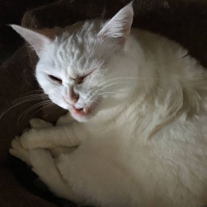 Dcec7aaa 4008 4010 9d5e e9e161141d2c