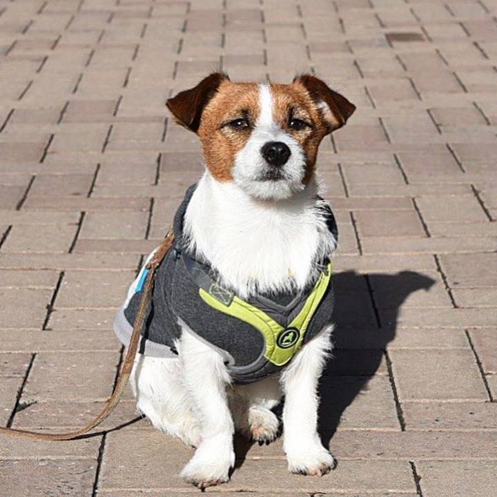 Dcecb2eb 2dbc 426c 9142 2ba2a9b9a8f1