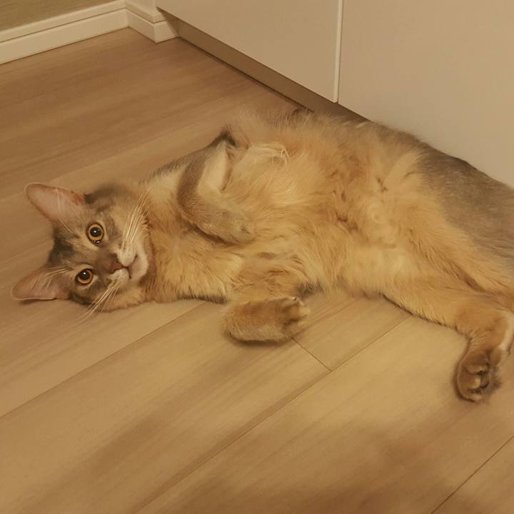 Dced0806 09e0 49d3 afd7 316936dd1c9e