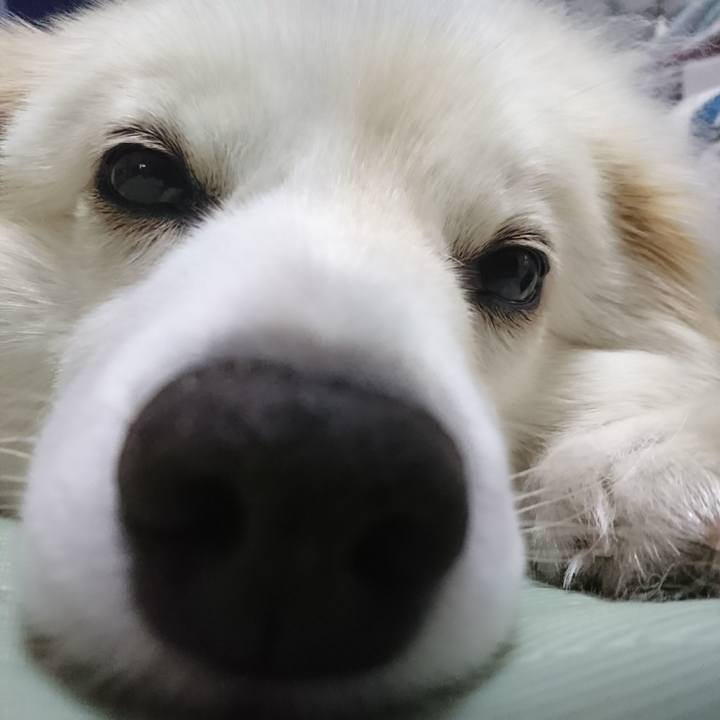 Dcede097 5709 401d 9f9a 65d16361a654