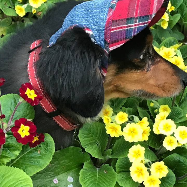 Dcedf3ce b0a4 49ff 856a d76317fa0fe1