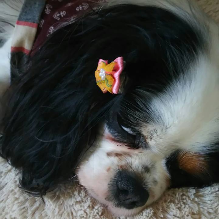 Dcee0f90 f9a8 41f9 9fa9 d27bc5aafa9d