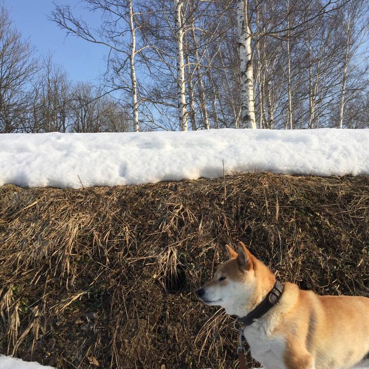 Dcee168f b323 4741 8ccb af5e889b5ddc