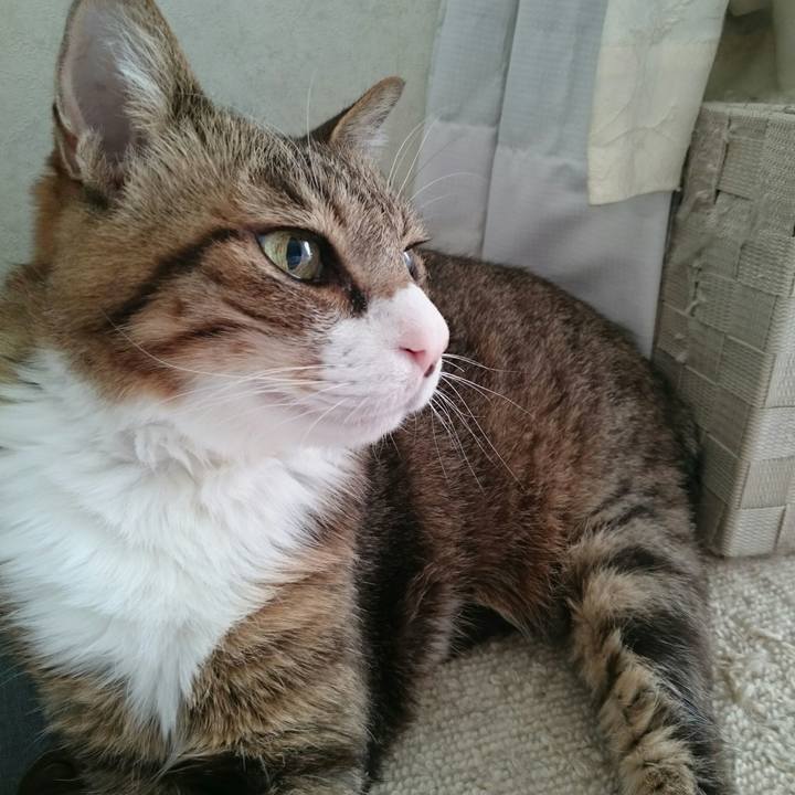 Dcee3657 44ed 4b53 b7c0 5c525fdb154c