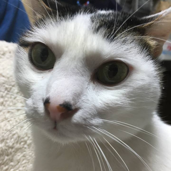 Dcee396f e4bc 4dbe 8987 0bcb4b1987df