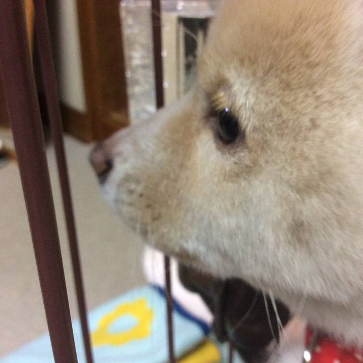 Dcee9e87 407a 41b8 98ab f3b7754c5b2b