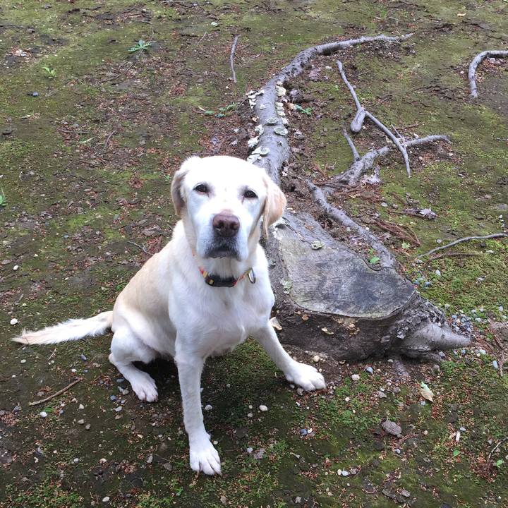 Dceeeb2c acb3 4732 b53a b6f9e6086d02